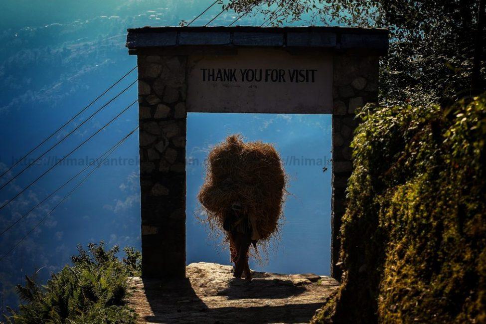 Annapurna Gurung Trail